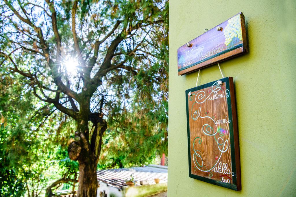 Acasamia Resort San Cipriano Picentino ภายนอก รูปภาพ